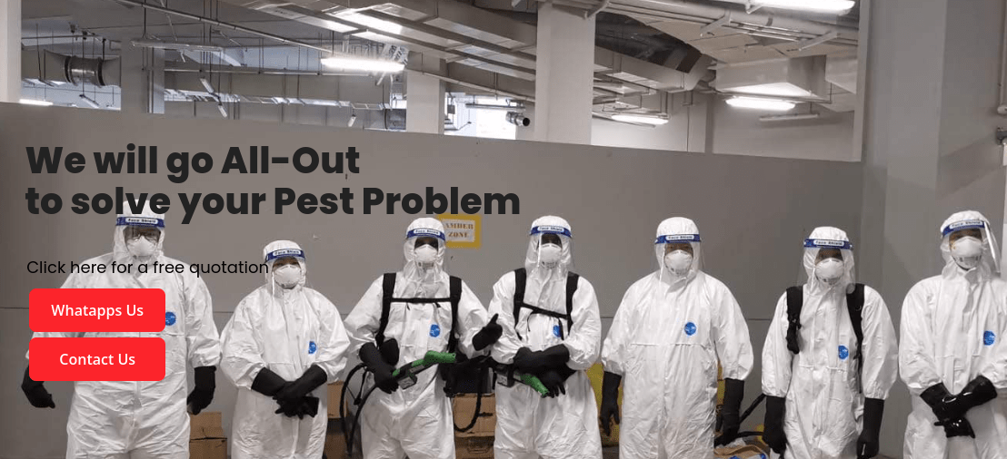All Out Pest Management