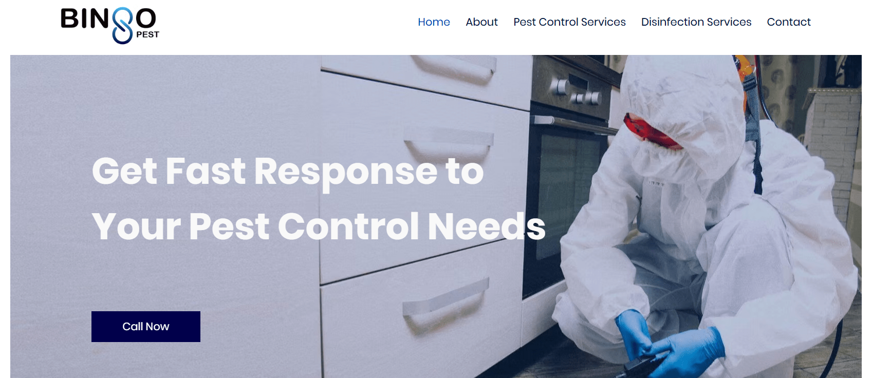 Mosquito Control in Singapore
